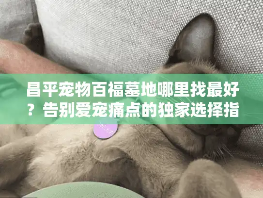 昌平宠物百福墓地哪里找最好？告别爱宠痛点的独家选择指南