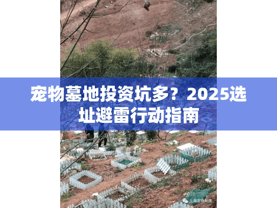 宠物墓地投资坑多?2025选址避雷行动指南 宠物墓地投资坑多?2025选址避雷行动指南