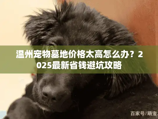 温州宠物墓地价格太高怎么办？2025最新省钱避坑攻略