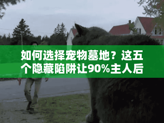 如何选择宠物墓地？这五个隐藏陷阱让90%主人后悔