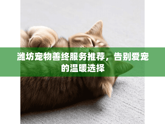 潍坊宠物善终服务推荐,告别爱宠的温暖选择 潍坊宠物善终服务推荐,告别爱宠的温暖选择