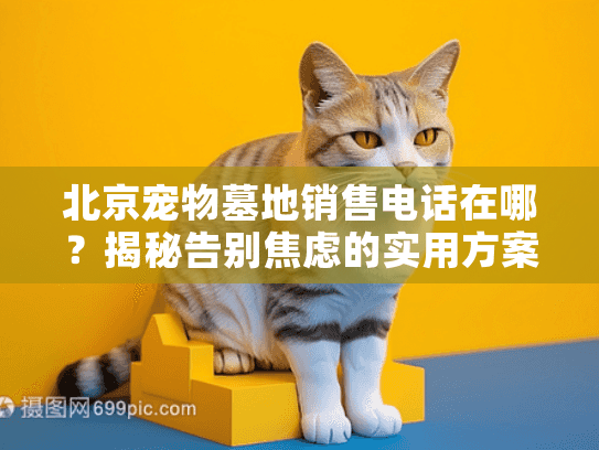 北京宠物墓地销售电话在哪？揭秘告别焦虑的实用方案