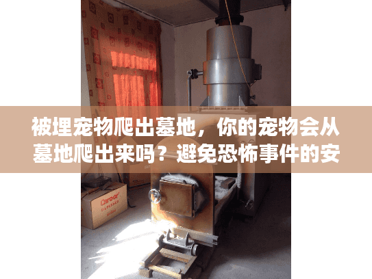 被埋宠物爬出墓地,你的宠物会从墓地爬出来吗?避免恐怖事件的安全秘诀 被埋宠物爬出墓地,你的宠物会从墓地爬出来吗?避免恐怖事件的安全秘诀