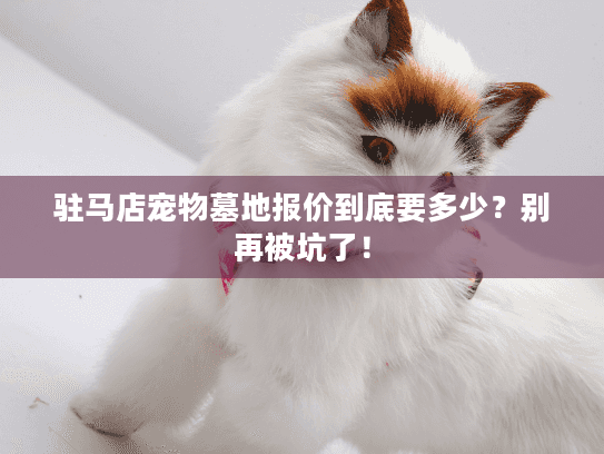 驻马店宠物墓地报价到底要多少？别再被坑了！