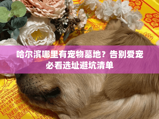 哈尔滨哪里有宠物墓地？告别爱宠必看选址避坑清单