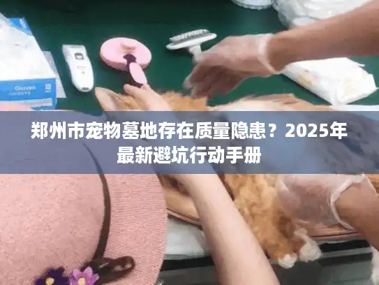 郑州市宠物墓地存在质量隐患？2025年最新避坑行动手册