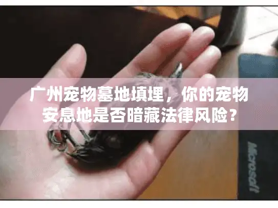广州宠物墓地填埋，你的宠物安息地是否暗藏法律风险？