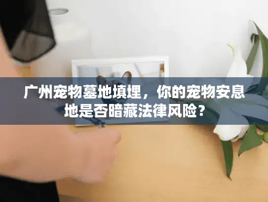 广州宠物墓地填埋，你的宠物安息地是否暗藏法律风险？