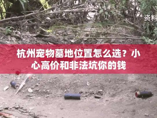 杭州宠物墓地位置怎么选？小心高价和非法坑你的钱