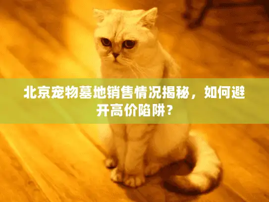 北京宠物墓地销售情况揭秘,如何避开高价陷阱? 北京宠物墓地销售情况揭秘,如何避开高价陷阱?