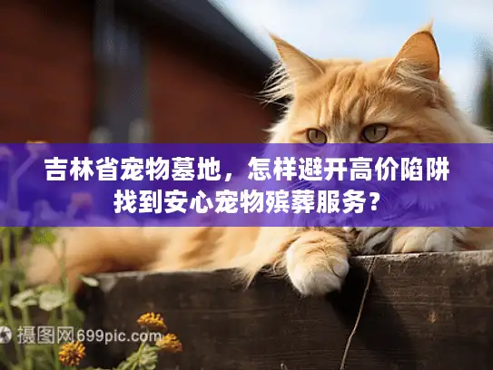 吉林省宠物墓地，怎样避开高价陷阱找到安心宠物殡葬服务？