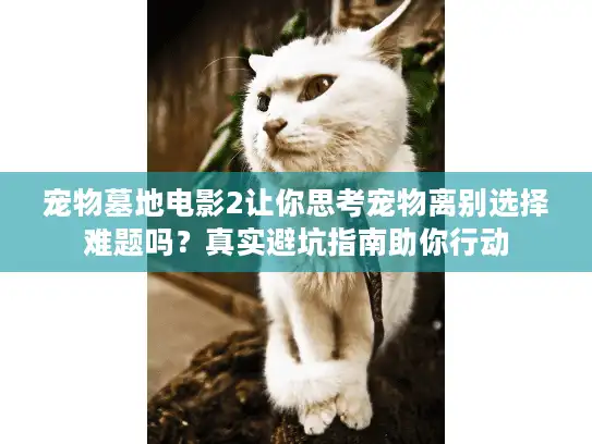 宠物墓地电影2让你思考宠物离别选择难题吗？真实避坑指南助你行动