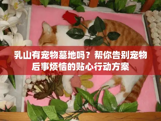乳山有宠物墓地吗?帮你告别宠物后事烦恼的贴心行动方案 乳山有宠物墓地吗?帮你告别宠物后事烦恼的贴心行动方案