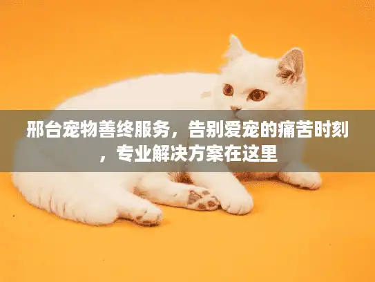 邢台宠物善终服务，告别爱宠的痛苦时刻，专业解决方案在这里