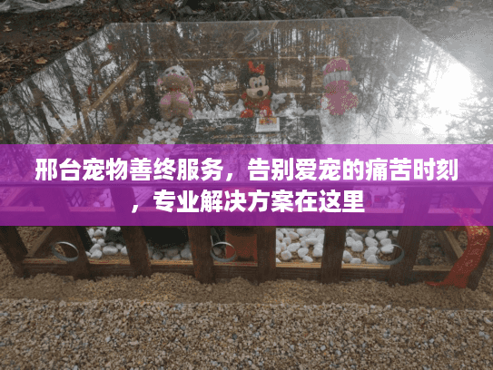 邢台宠物善终服务，告别爱宠的痛苦时刻，专业解决方案在这里