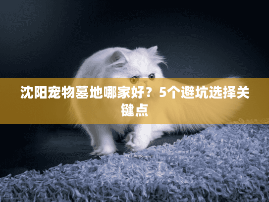 沈阳宠物墓地哪家好?5个避坑选择关键点 沈阳宠物墓地哪家好?5个避坑选择关键点