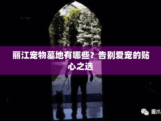 丽江宠物墓地有哪些？告别爱宠的贴心之选