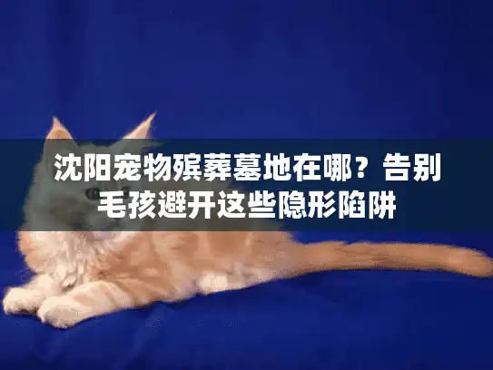 沈阳宠物殡葬墓地在哪？告别毛孩避开这些隐形陷阱