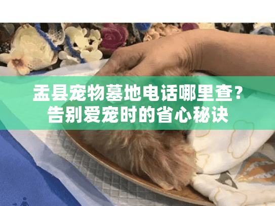 盂县宠物墓地电话哪里查？告别爱宠时的省心秘诀