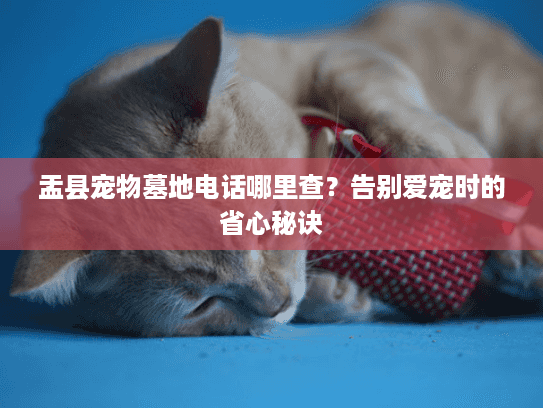 盂县宠物墓地电话哪里查？告别爱宠时的省心秘诀