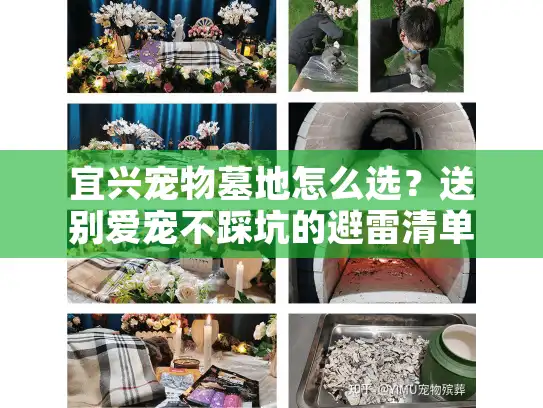 宜兴宠物墓地怎么选？送别爱宠不踩坑的避雷清单