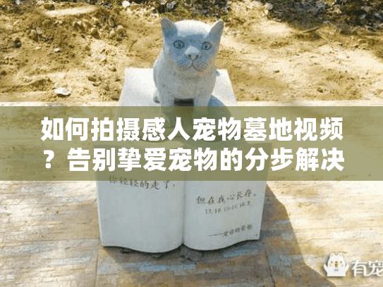 如何拍摄感人宠物墓地视频？告别挚爱宠物的分步解决方案