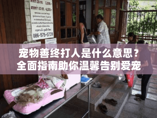 宠物善终打人是什么意思？全面指南助你温馨告别爱宠