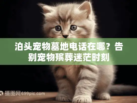 泊头宠物墓地电话在哪?告别宠物殡葬迷茫时刻 泊头宠物墓地电话在哪?告别宠物殡葬迷茫时刻