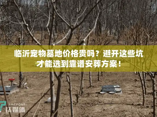 临沂宠物墓地价格贵吗？避开这些坑才能选到靠谱安葬方案！