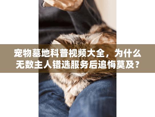 宠物墓地科普视频大全，为什么无数主人错选服务后追悔莫及？