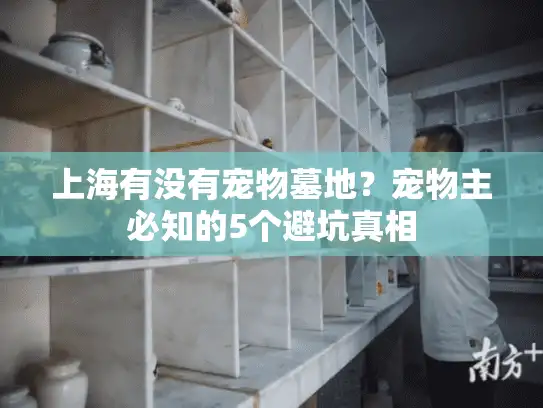 上海有没有宠物墓地？宠物主必知的5个避坑真相