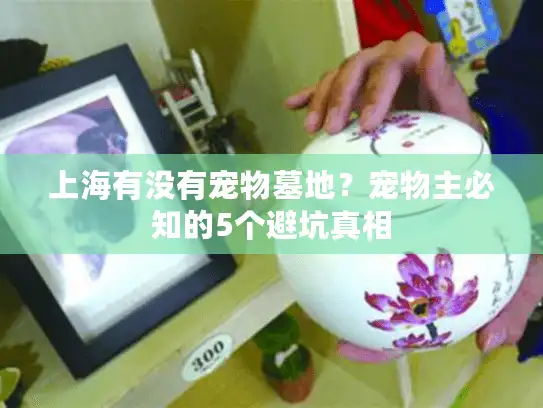 上海有没有宠物墓地？宠物主必知的5个避坑真相