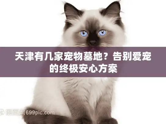 天津有几家宠物墓地？告别爱宠的终极安心方案