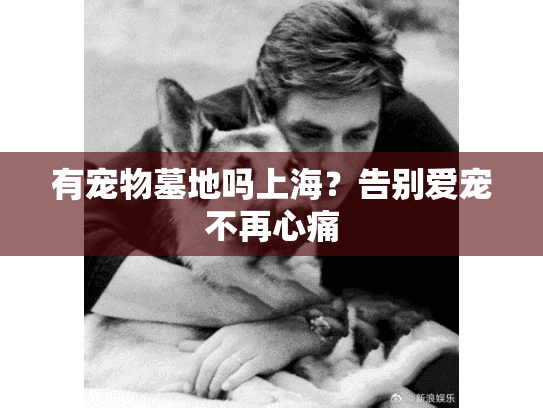 有宠物墓地吗上海？告别爱宠不再心痛