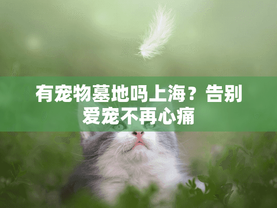 有宠物墓地吗上海？告别爱宠不再心痛