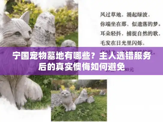 宁国宠物墓地有哪些？主人选错服务后的真实懊悔如何避免