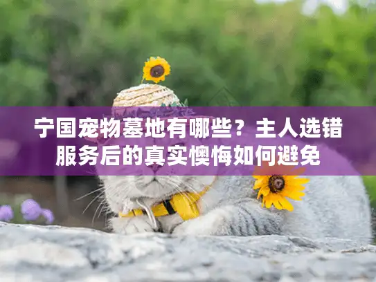 宁国宠物墓地有哪些？主人选错服务后的真实懊悔如何避免