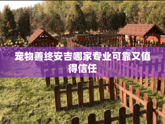 宠物善终安吉哪家专业可靠又值得信任