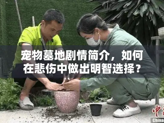 宠物墓地剧情简介,如何在悲伤中做出明智选择? 宠物墓地剧情简介,如何在悲伤中做出明智选择?