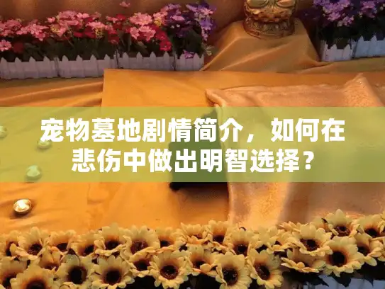 宠物墓地剧情简介,如何在悲伤中做出明智选择? 宠物墓地剧情简介,如何在悲伤中做出明智选择?
