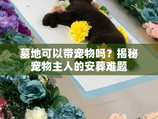墓地可以带宠物吗?揭秘宠物主人的安葬难题 墓地可以带宠物吗?揭秘宠物主人的安葬难题