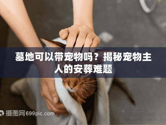 墓地可以带宠物吗?揭秘宠物主人的安葬难题 墓地可以带宠物吗?揭秘宠物主人的安葬难题