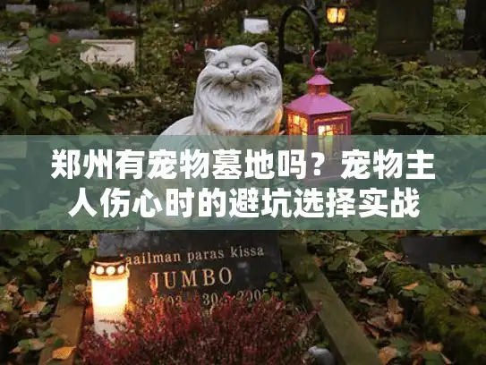 郑州有宠物墓地吗？宠物主人伤心时的避坑选择实战