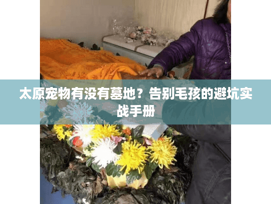太原宠物有没有墓地?告别毛孩的避坑实战手册 太原宠物有没有墓地?告别毛孩的避坑实战手册
