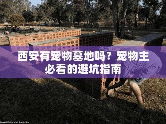 西安有宠物墓地吗？宠物主必看的避坑指南