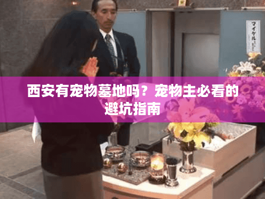 西安有宠物墓地吗？宠物主必看的避坑指南