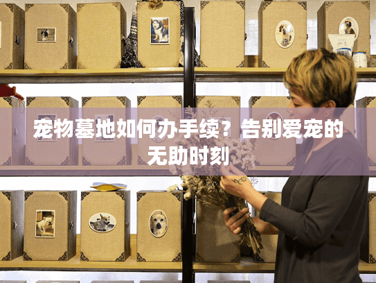 宠物墓地如何办手续?告别爱宠的无助时刻 宠物墓地如何办手续?告别爱宠的无助时刻