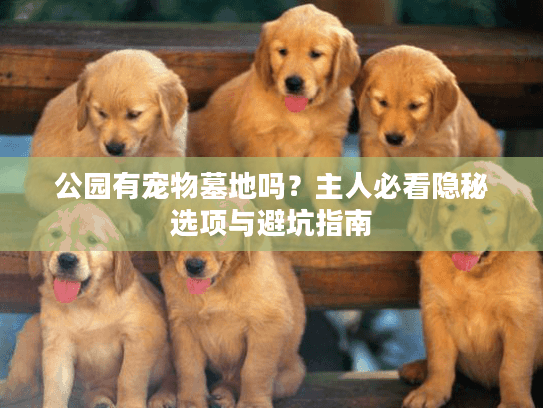 公园有宠物墓地吗？主人必看隐秘选项与避坑指南