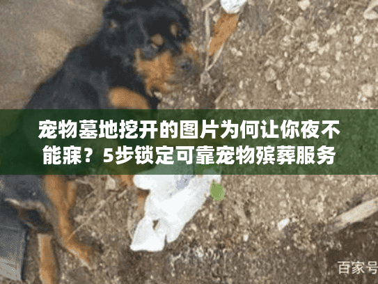 宠物墓地挖开的图片为何让你夜不能寐？5步锁定可靠宠物殡葬服务
