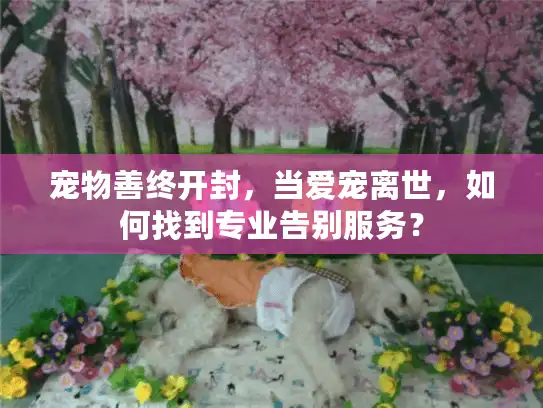 宠物善终开封，当爱宠离世，如何找到专业告别服务？